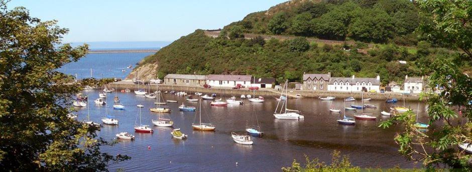 Rosebud Cottage Romantic Cottage For A Couple Fishguard Exteriér fotografie